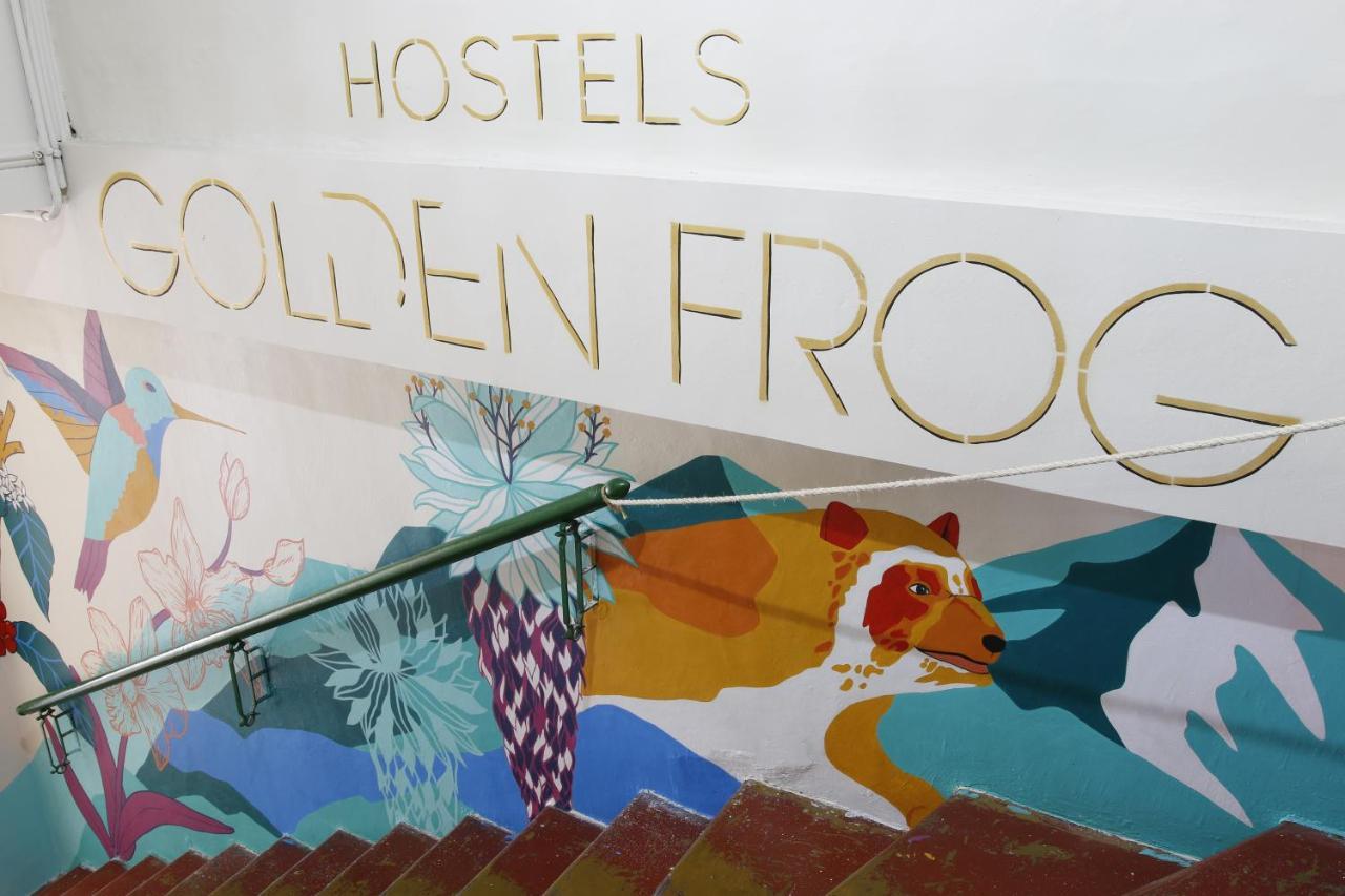 Golden Frog Manizales Hostel Exterior photo